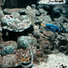 Akvárium