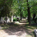 Farkasréti temető