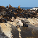 Duiker-sziget Fokak kicsit kozelebbrol