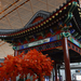 04 Pekingi repülőtér bokor és épület