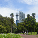 Auckland Albert Parkból Sky Tower