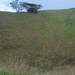 Auckland Mount Eden központi kráter