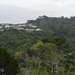 Wellington Botanikus kert kilátás 04