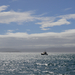 Wellington waterfrontról 02