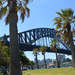 Sydney Harbour Bridge és pálmák