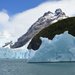 Lago Argentino Spegazzini-gleccser és jéghegy