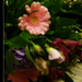 virágcsokor - variáció 6