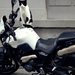 black/white avagy moto/cat