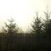 Novemberi köd áttörés