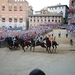 paliodisiena