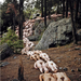 Spencer Tunick