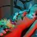 Nyotaimori-Japanese-Culture-