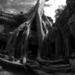 ta-phrom