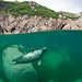 british-wildlife-photography-awards-2011-seal 40951 600x450