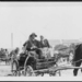 Man and woman on horse-drawn wagon, returning from market, Hunga