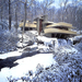 house architecture wright fallingwater