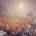 Télen a Krímben Daniel Fotozhurnal Korzhonova
