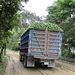 banán szállítás teherautóval
