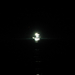 Night-Fishing-1024x768