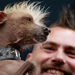 The ugliest dog in the world pixanews com-22
