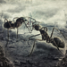 post-apocalyptic-ants-846x700