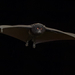 Livingston Bat1-