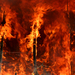 dreamstime forest fire