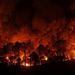 flames-burn-a-forest-near-boadella-at-emporda-area-in-the-spanis