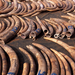 ivory-stockpile-photo-via-newscientistdotcom