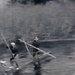 fa fatelep úsztatás folyó fűrésztelep 1930