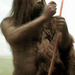 Neanderthal 2D src