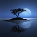 tree-sea-moon-reflection-island-stars-night-water-ocean-shadowna