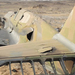 P-40-es a sivatagban Egyiptom