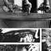 Julius Neubronner állatokra szerelt könnyű, időzített kamerái