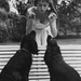 brigette-bardot-and-her-two-dogs