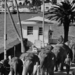 elephant-walk-on-venetian-causeway