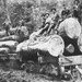 Carr Lumber Company Logging Train