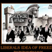 a-liberals-idea-of-freedom-liberal-freedom-socialism-liars-h-pol