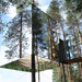 mirrorcube treehouse