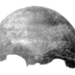 1 Millió év Buenos Aires skull