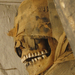 mummy rosicrucian egyptian museum.png