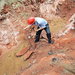 Huge Collection Of Dinosaur Eggs Found By Builders