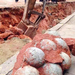 Huge Collection Of Dinosaur Eggs Found By Builders