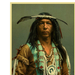ojibwa brave