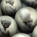 UFO embrió