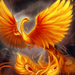 my phoenix