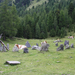 osztrák stonehenge 2