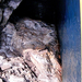 Lófüle barlang a Lipari-szigeteknél
