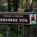 Italy #18 - Parco Regionale Spina Verde | 7959