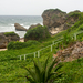 Bathsheba - Barbados 2014